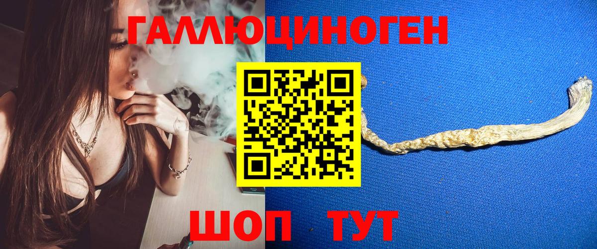 ГАШ  Бердск  COCAIN  МЕФ кристаллы  Каннабис  НБОМе  A PVP СОЛЬ   Вход с VPN  Меф  ГАШИШ 