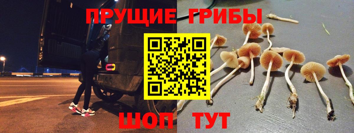 Псилоцибиновые грибы мухоморы  Вход с VPN  Галлюциногенные грибы Magic Shrooms  Бердск 